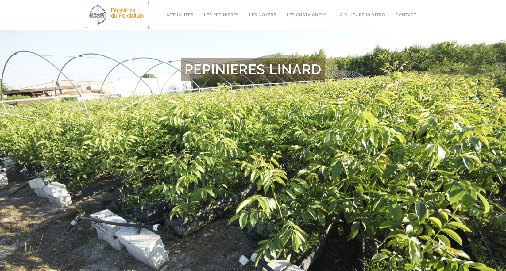 site